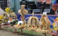 IMG_4746.JPG