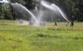 IMG_8451.jpg