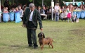 IMG_9675.jpg